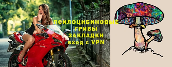 apvp Лабытнанги