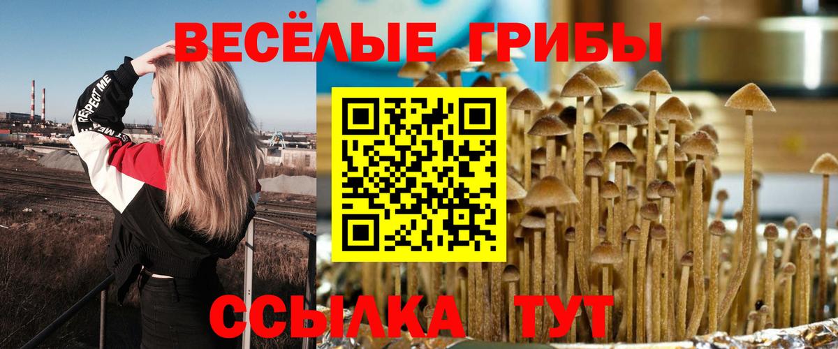 Галлюциногенные грибы GOLDEN TEACHER Черемхово